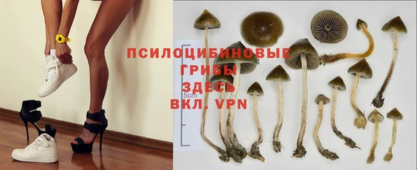 гидропоника Гусев