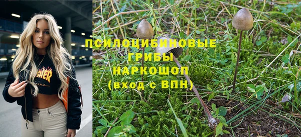 круглые Гусиноозёрск