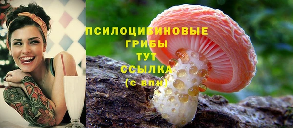 mdpv Бежецк