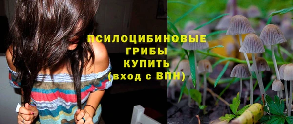 круглые Гусиноозёрск
