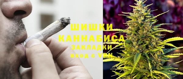 гидропоника Гусев