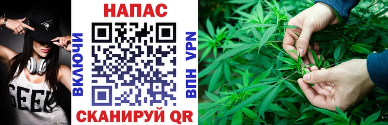 Каннабис индика  OMG tor  Данилов 